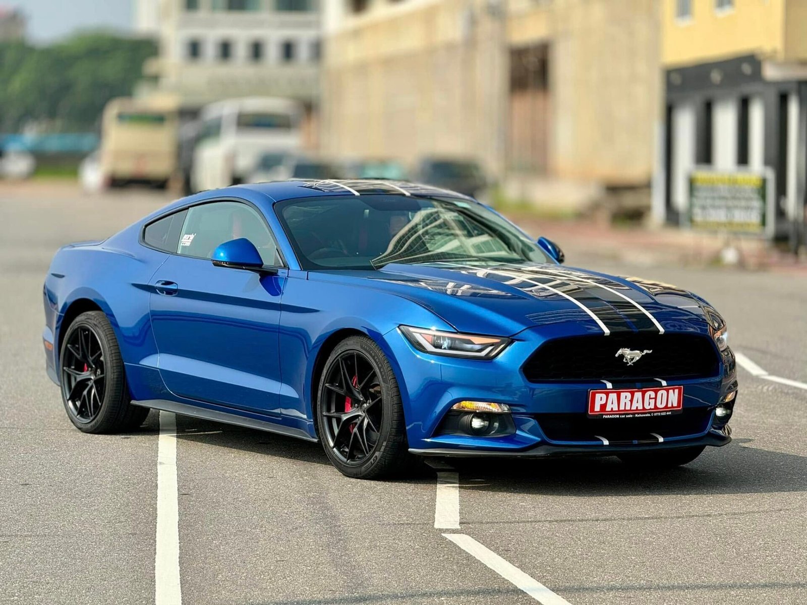 488039297_1079786110860109_8592897982004106171_n